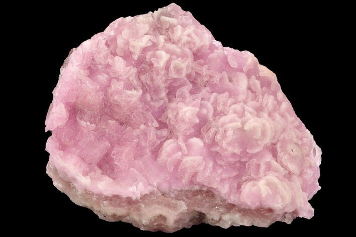 Cobaltoan Calcite Crystal Cluster - Bou Azzer, Morocco #90308